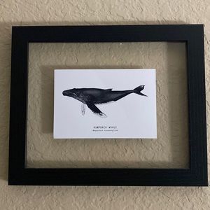 Humpback whale Art